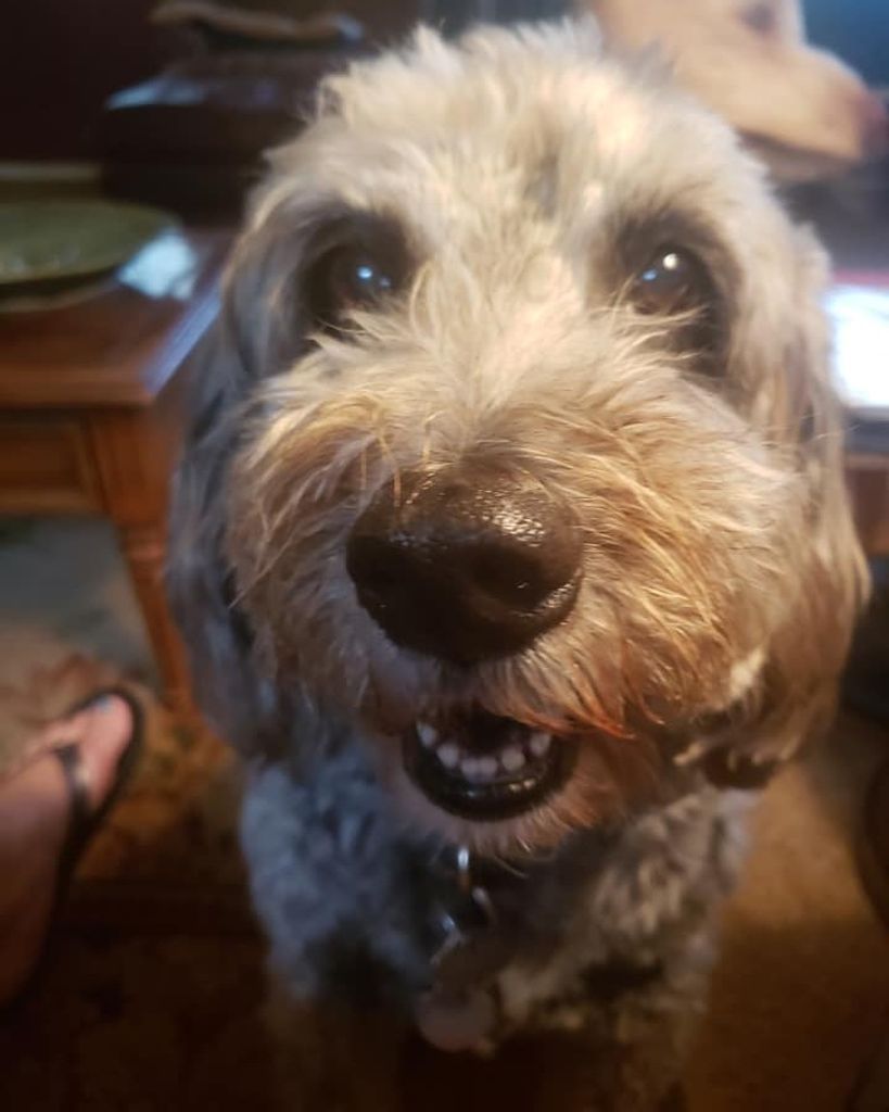 Luci Kuster Profile Photo