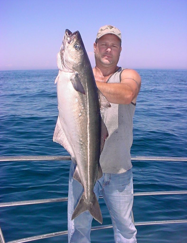 Edwin "Ed" L. Roche Jr. Profile Photo