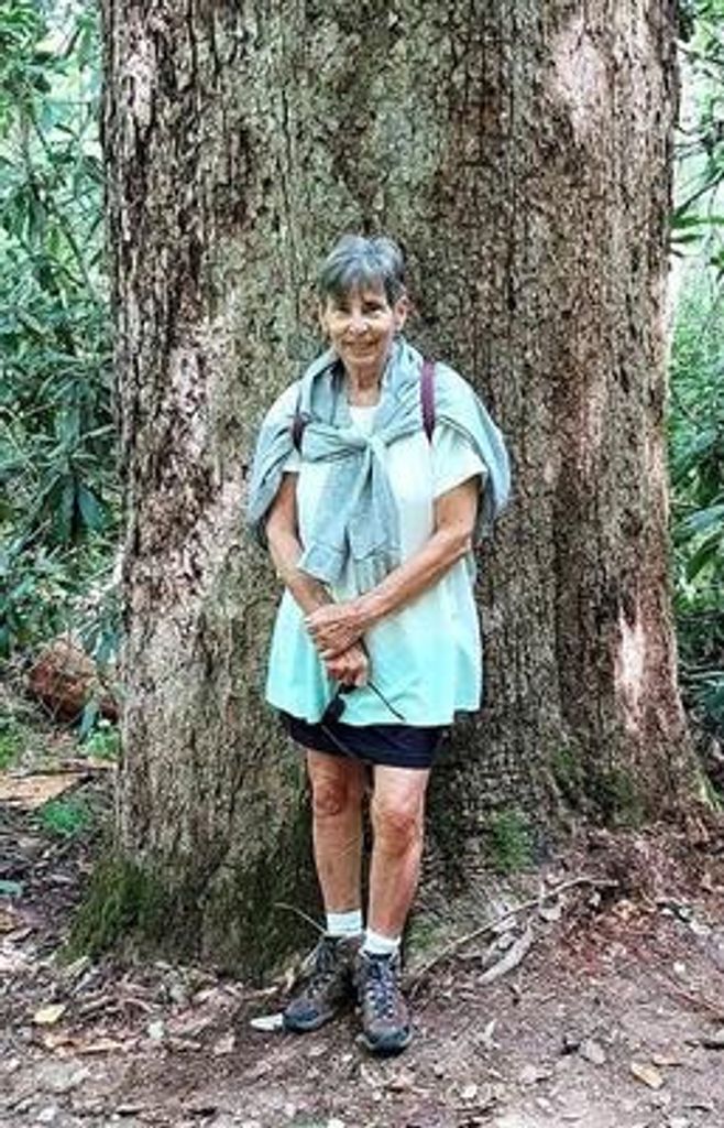 Judy Mick Profile Photo