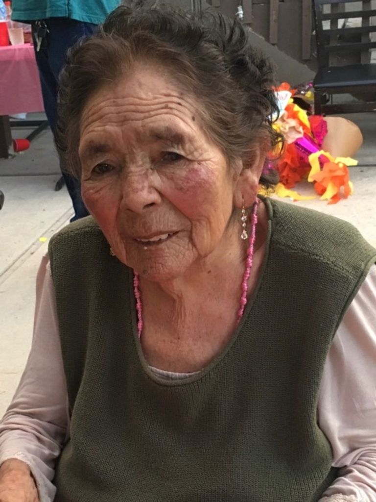 Guadalupe Rico Villafuerte