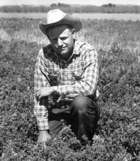 James G Franzoy Profile Photo
