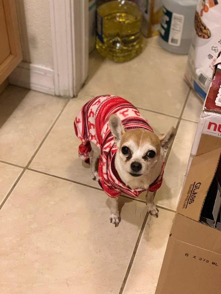 Bella Lewis Profile Photo