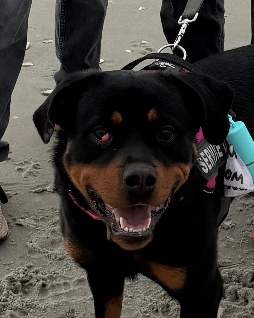 Xena Smith Profile Photo