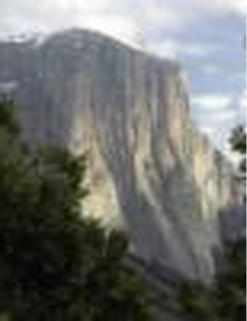 Sibylla W. Brand Hyatt