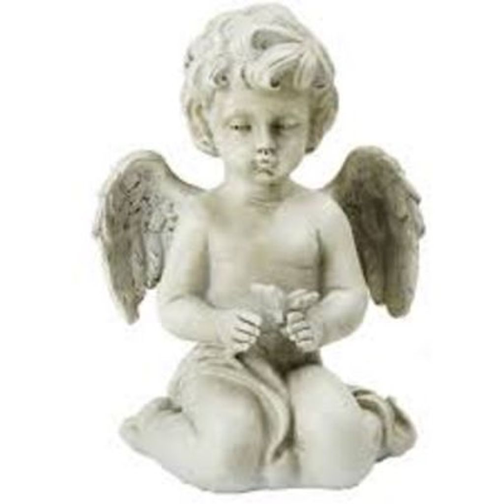 Luis Dejesus Pimienta Rivas Perez Profile Photo