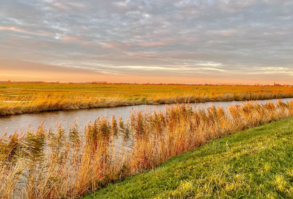 Virgil W. Ferguson Profile Photo