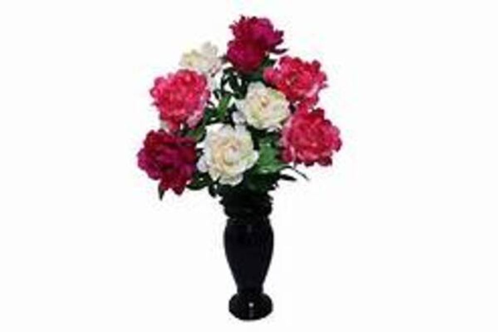 Ramona Salcido Profile Photo