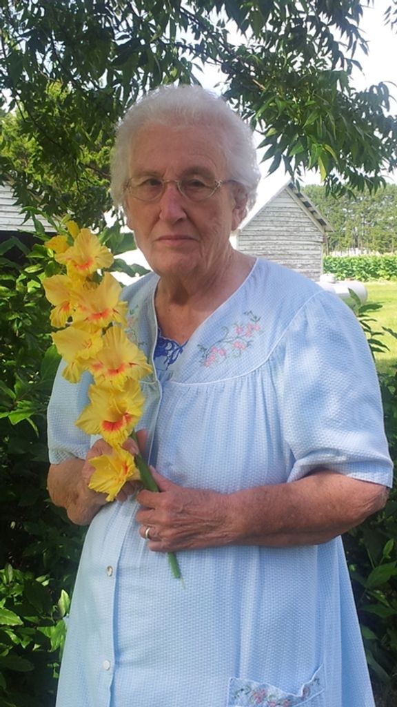 Jane Johnson Hobbs Profile Photo