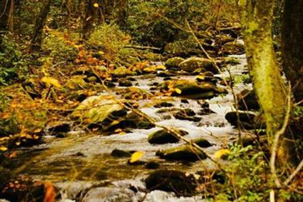 Karleen Lake Compton Profile Photo