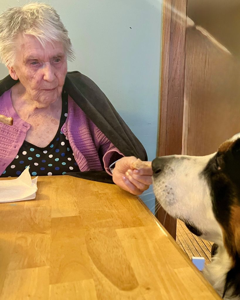 Alleen Bartlett-Burns Profile Photo