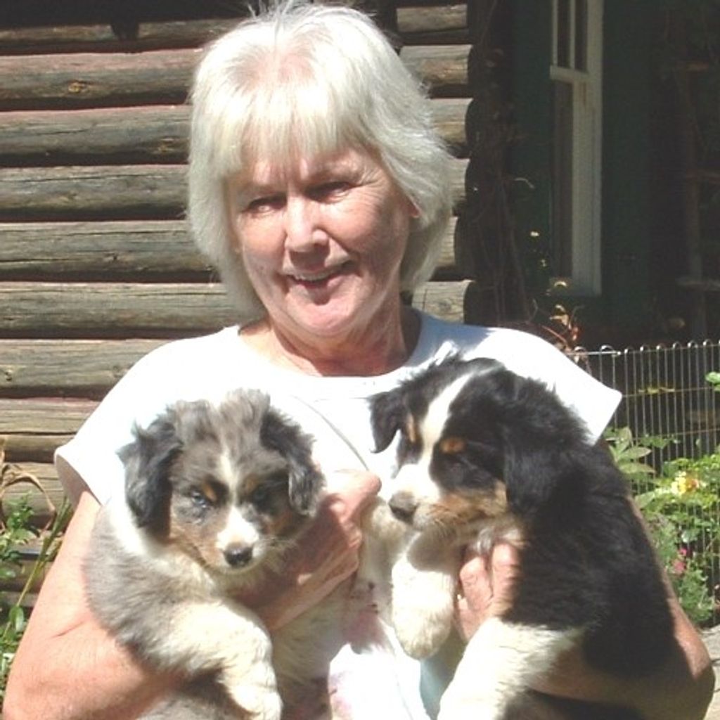 Laurie Catherine Morrow