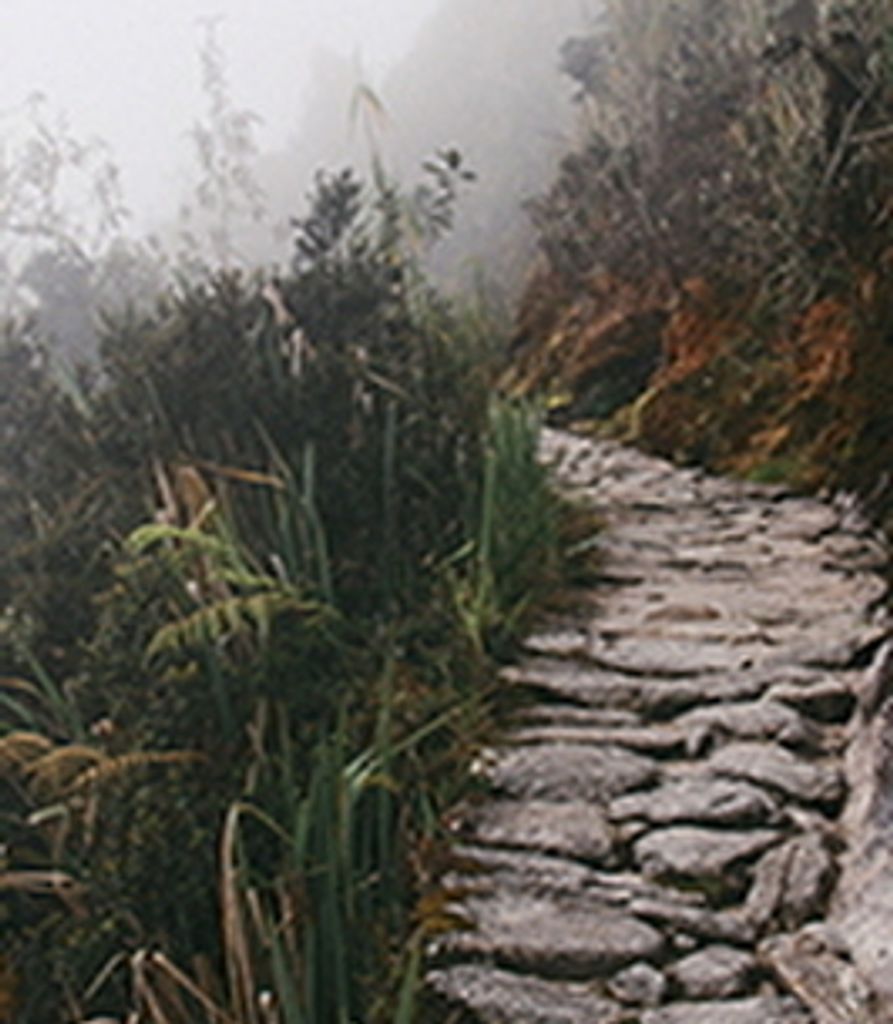 Peter Lindh Profile Photo