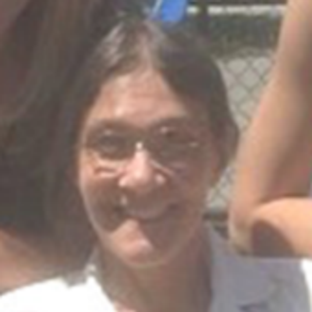 Virginia L. Andrews