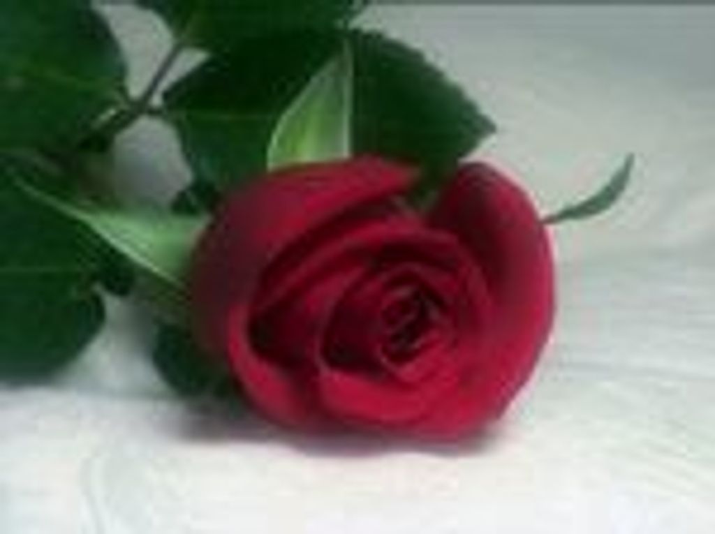 Nellie George Baddour