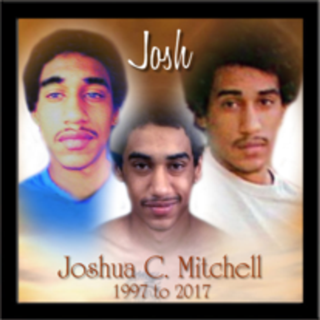 Joshua C. Mitchell