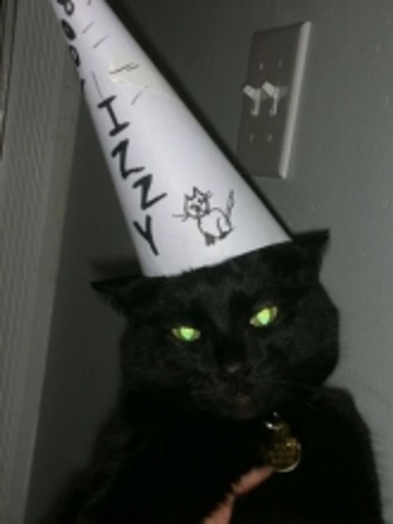 Izzy Harvey Profile Photo