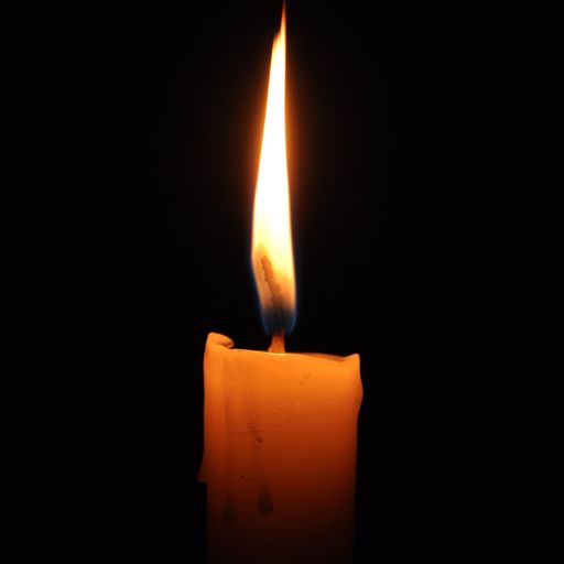 Nancy P. Smith Profile Photo