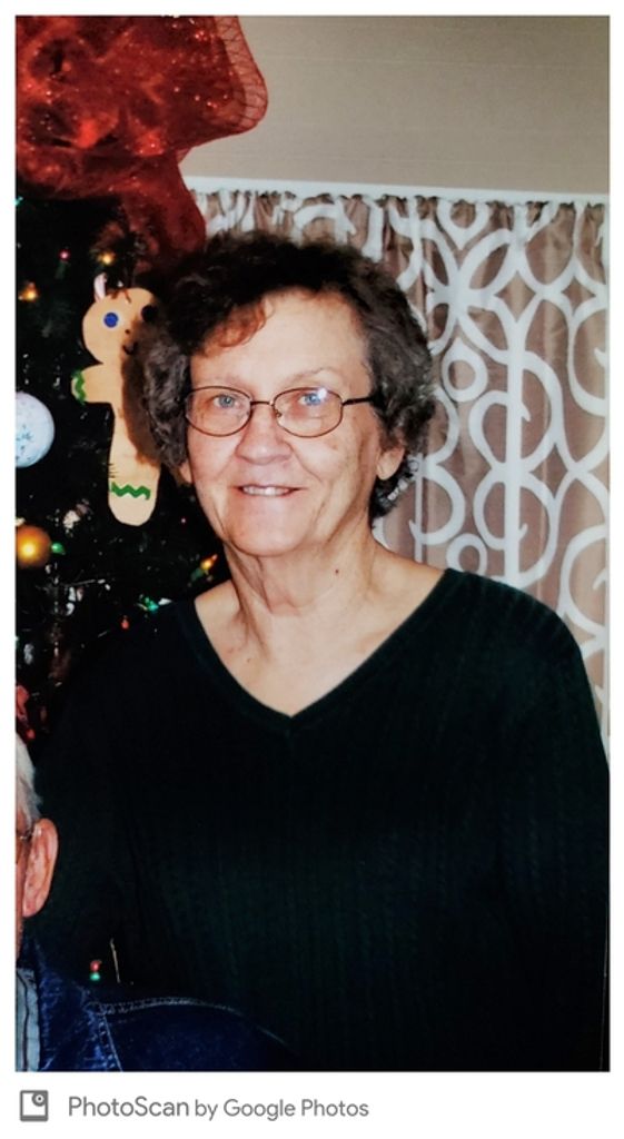 Janice Sheffield Webb Profile Photo