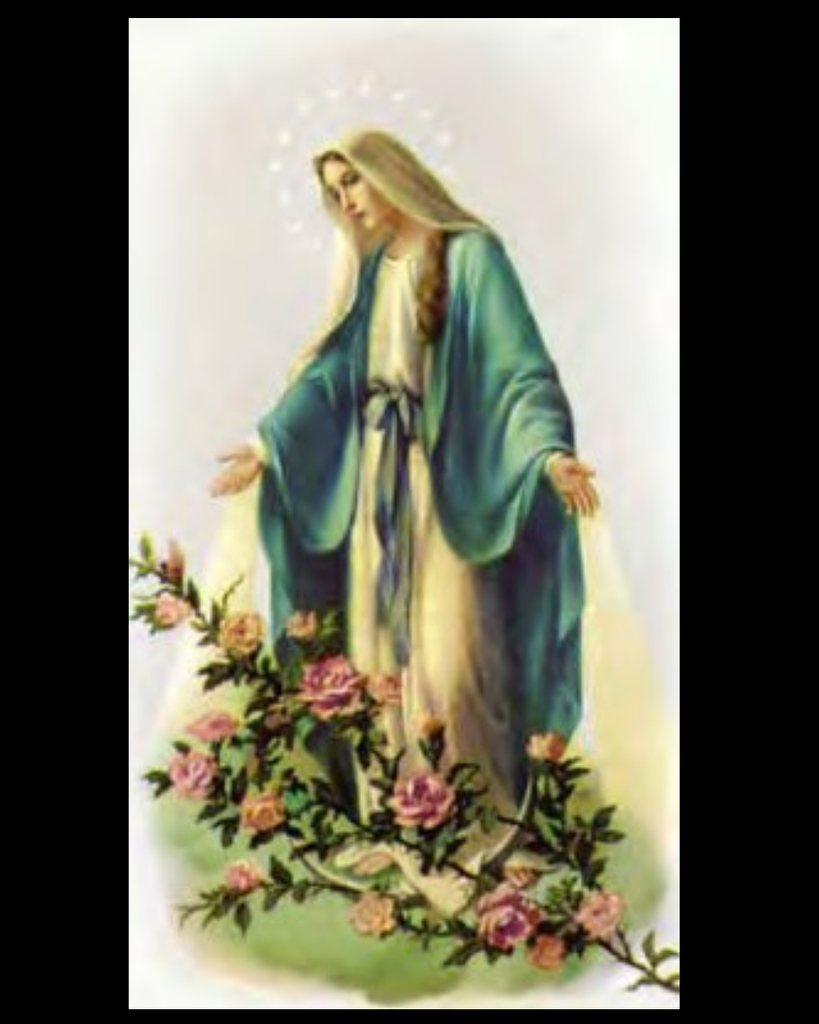 Mary Ann T. Kadnar Profile Photo