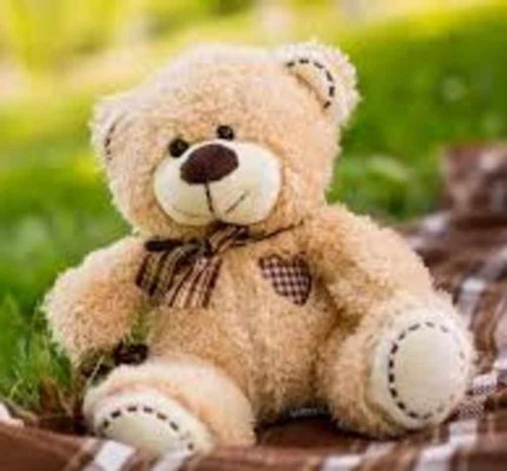 Sophia Elohee Lopez-Resendiz Profile Photo