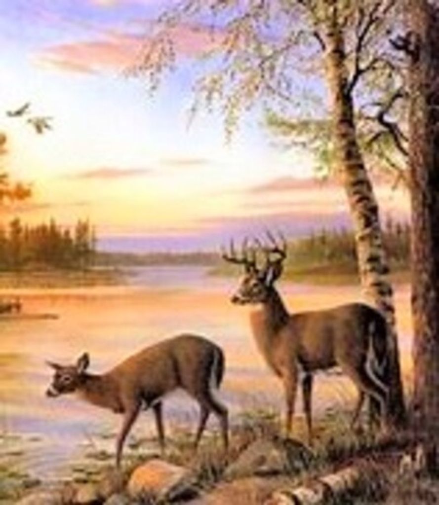 Wayne Williams Profile Photo