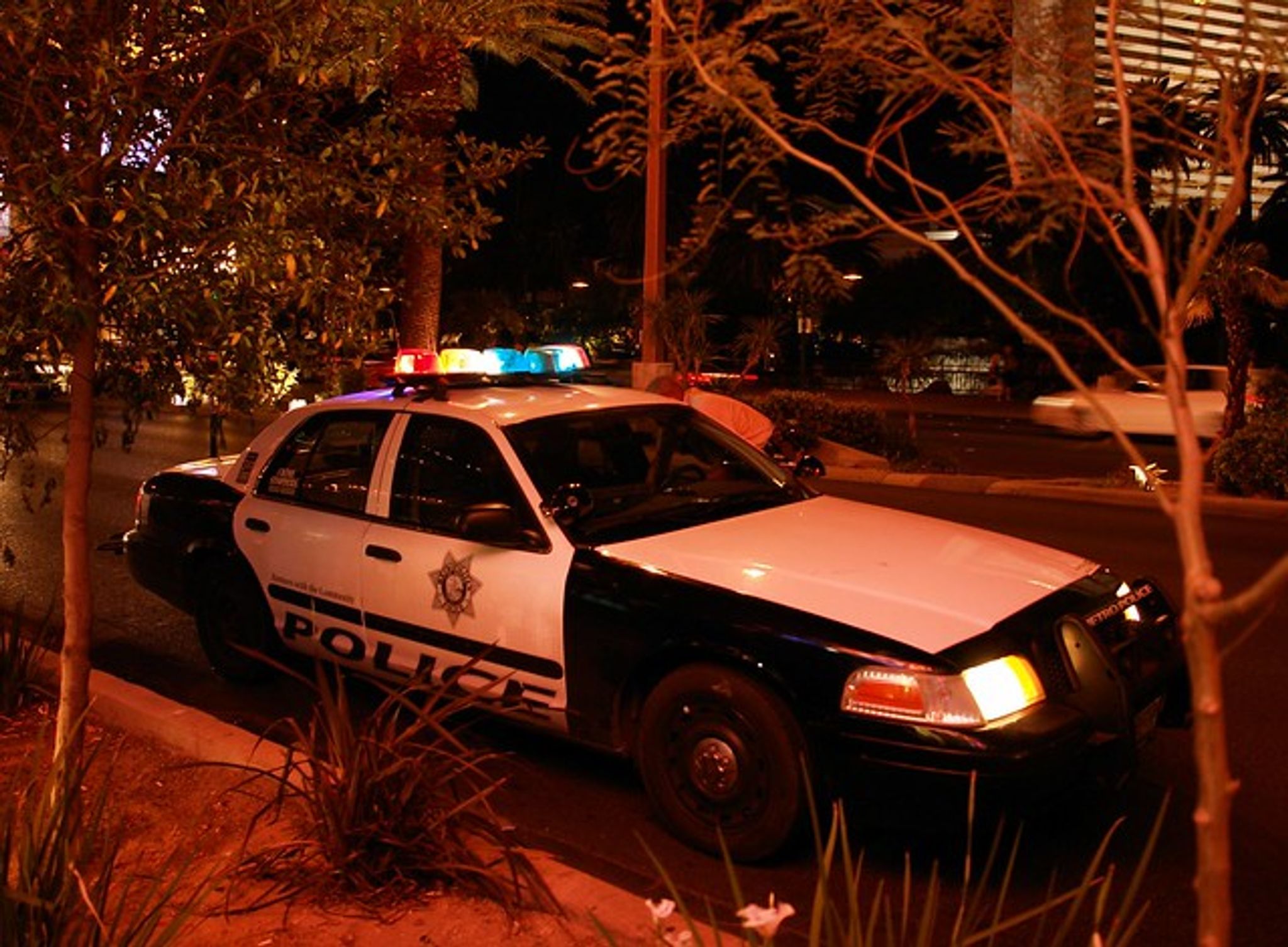 Cover for David L. Stanley's Obituary