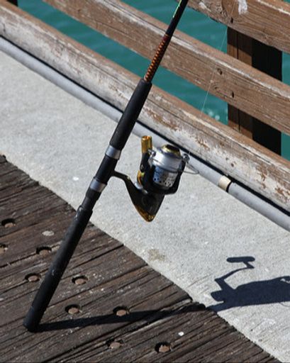 Mark Kazumasa Nakagawa Profile Photo