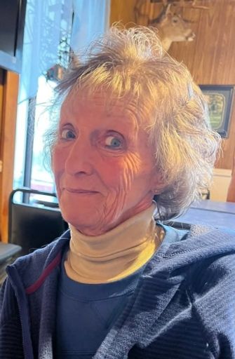 Carol J. Wilkosz's obituary image