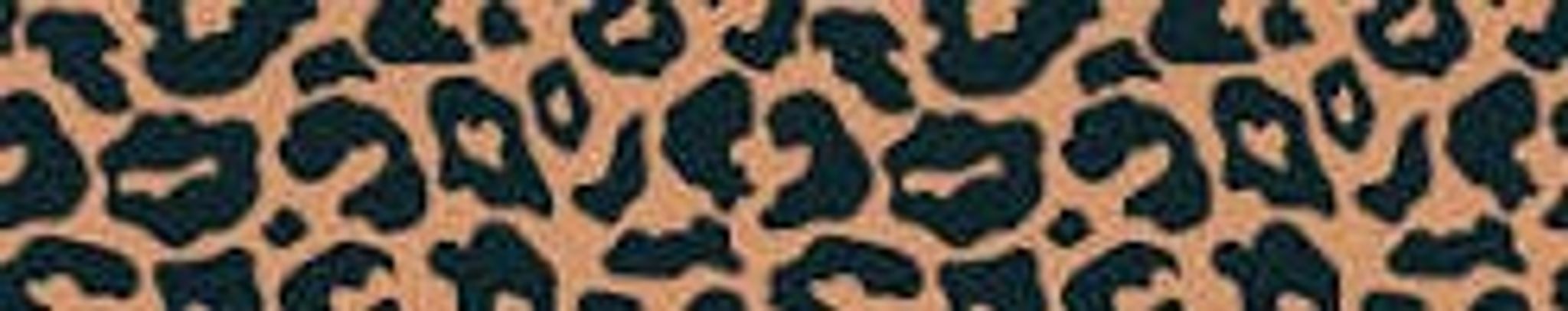 Cover for Kim Taylor Epley's Obituary