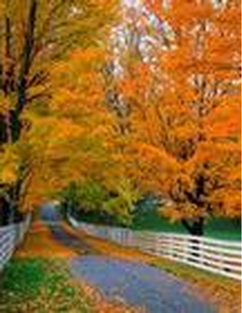 Mary Eileen Carr Lee