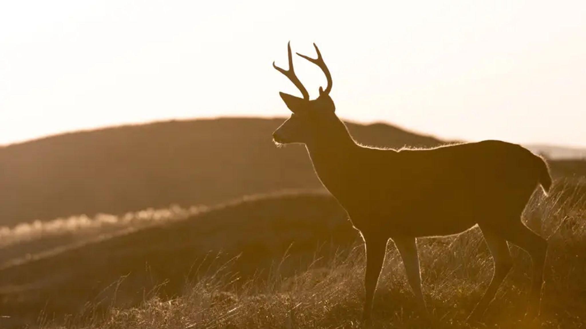 Cover for Steven Turner's Obituary