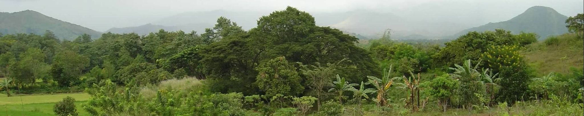 Cover photo for Victor Pimentel's Obituary