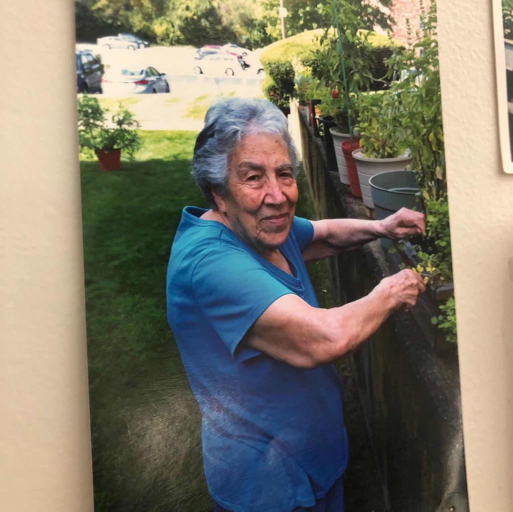 Maria Lena Profile Photo