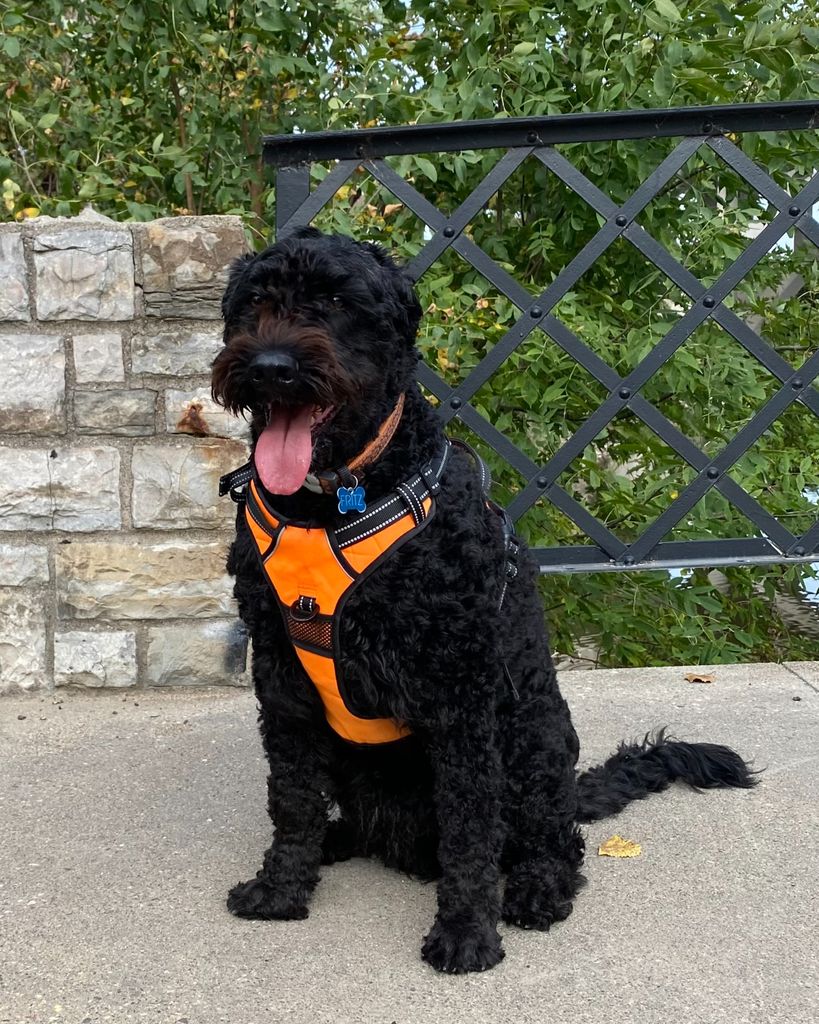 Fritz 'Pete' Drier Profile Photo