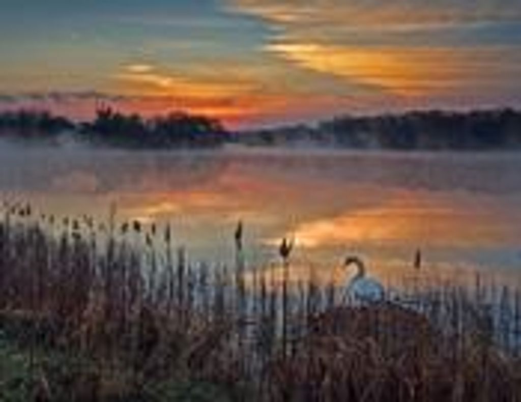 Michelle Renee' Mathews