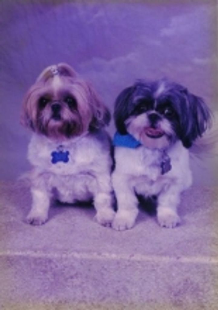 Emmy Burmeister Profile Photo