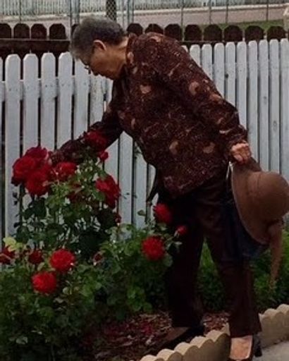 Julia P. Mendez's obituary image