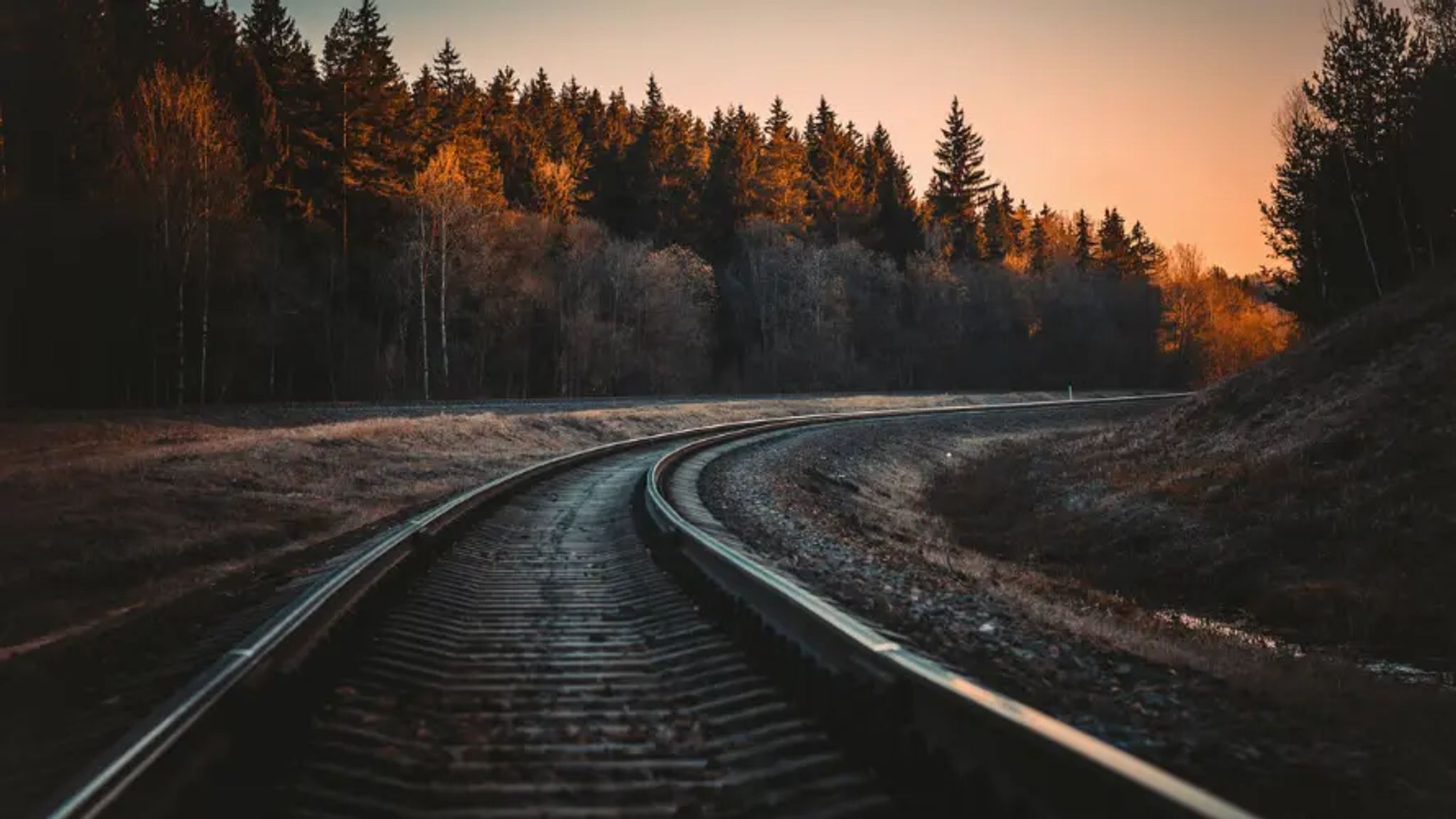 Cover for Darryl Van Holton's Obituary