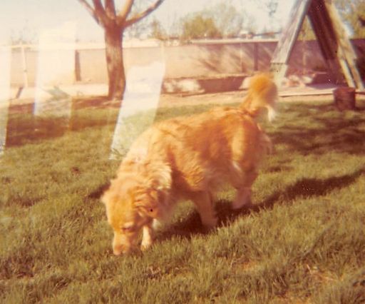 Charles George Sain III photo gallery thumbnail 16 of 26