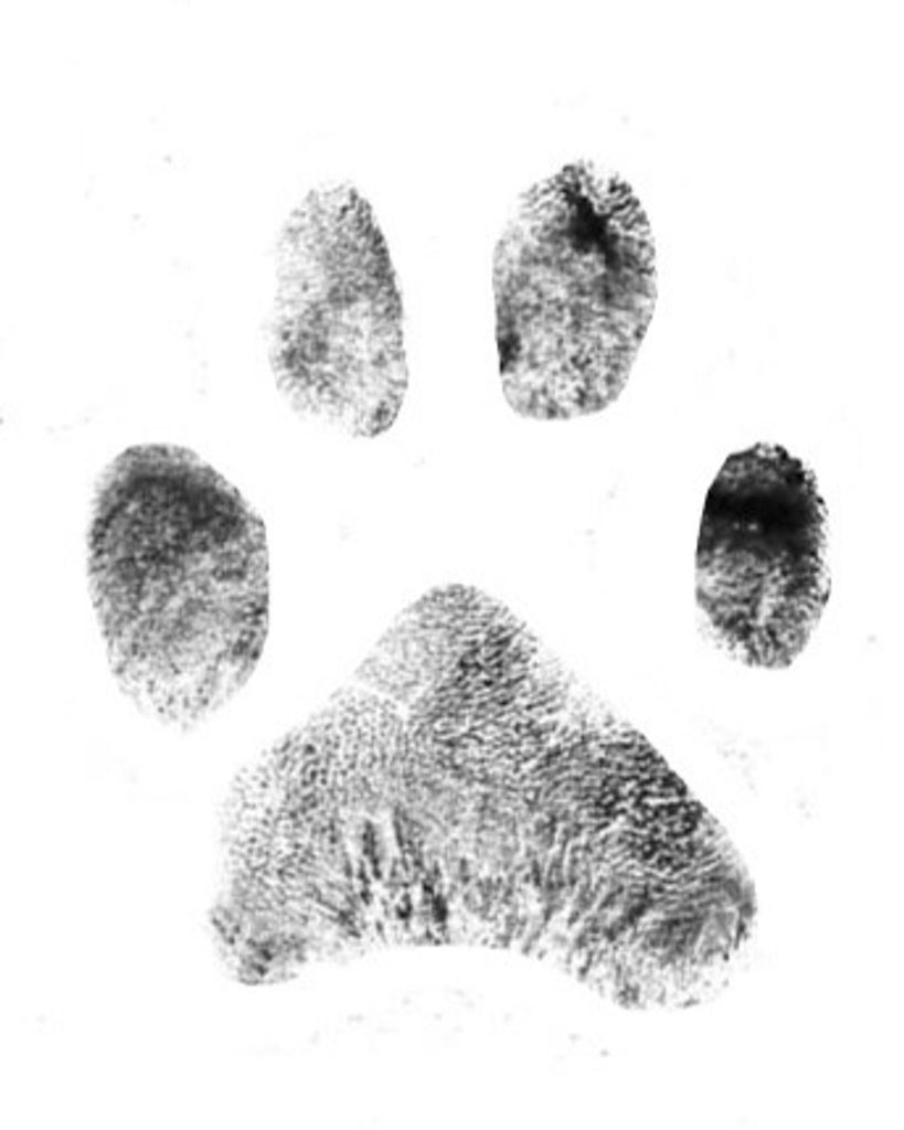 Otis Buckner Profile Photo