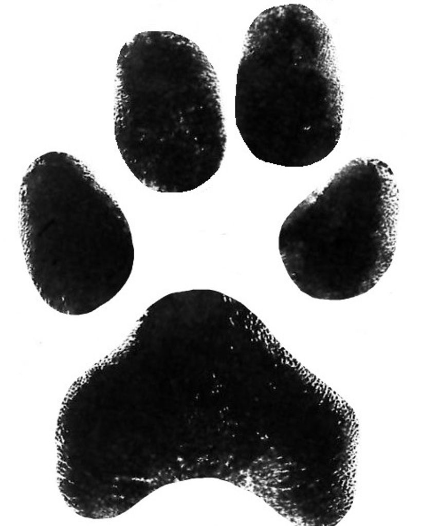 Cooper McDuffie Profile Photo