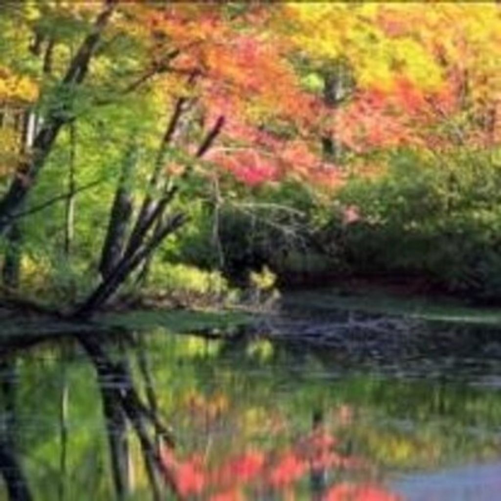 L. Jackson "Jack" Lyle