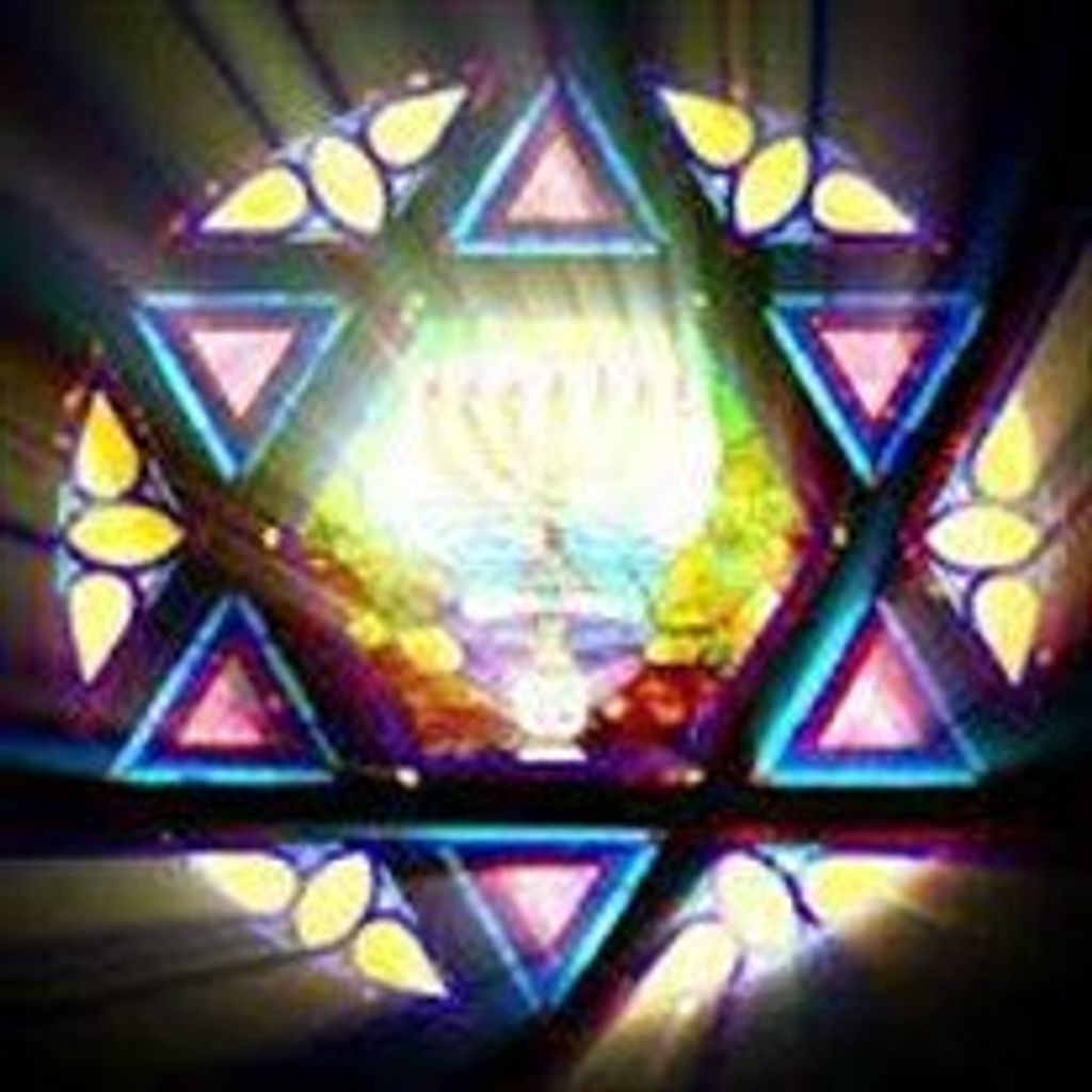 Robert  Joel Rapoport