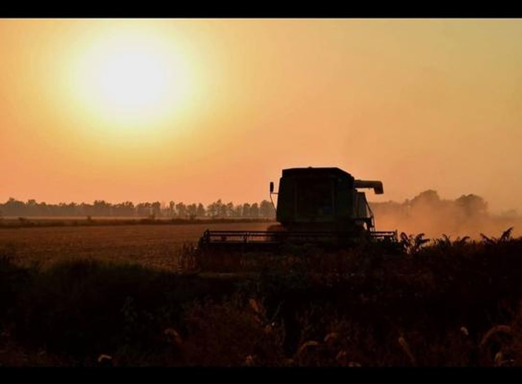 Mervel "Champ" Eugene Jones Profile Photo