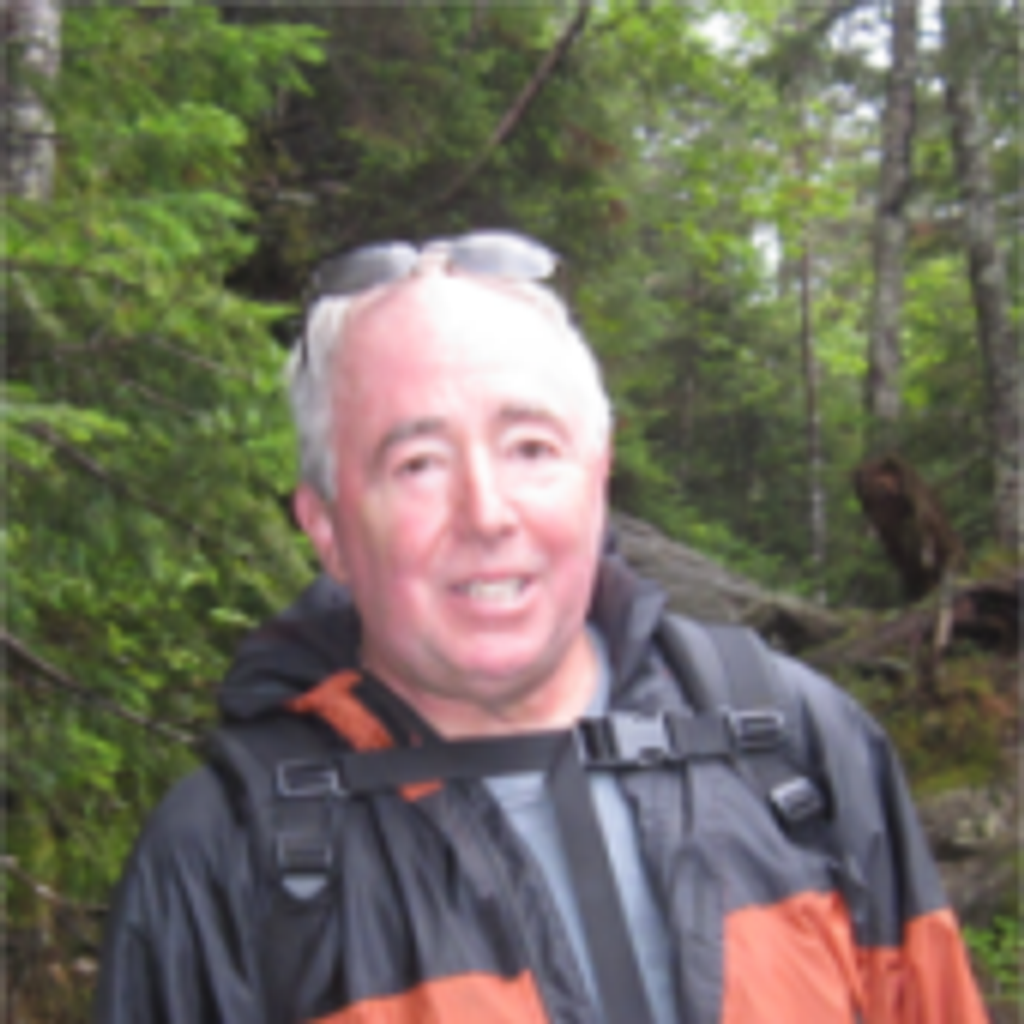 Donald Irving Scholtz