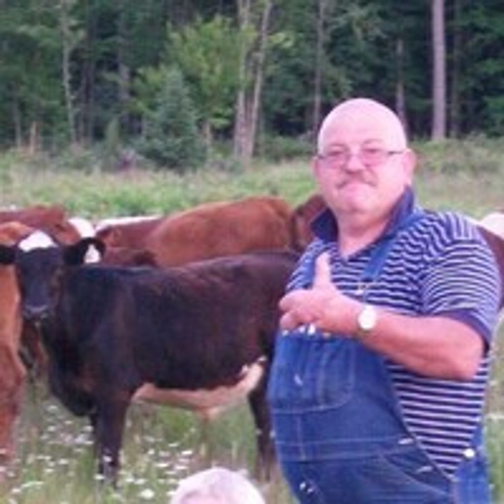 Michael D. Brzoznowski Profile Photo