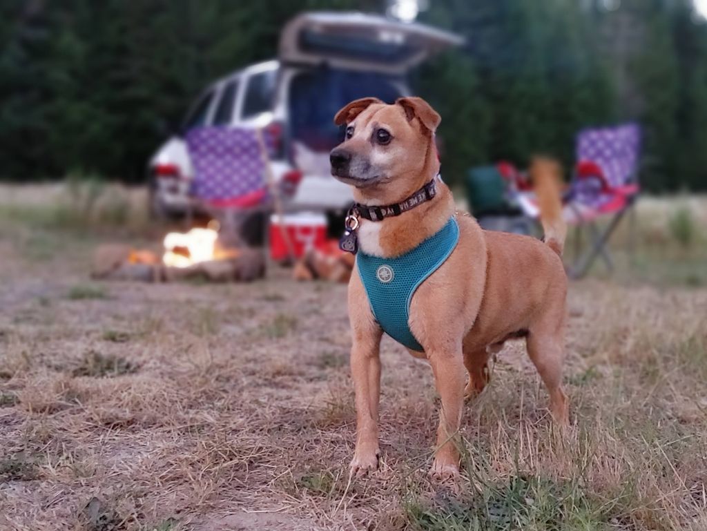 Studley Profile Photo