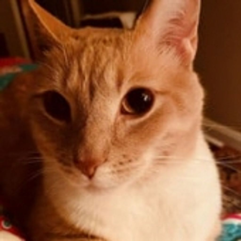 Simba Augustine