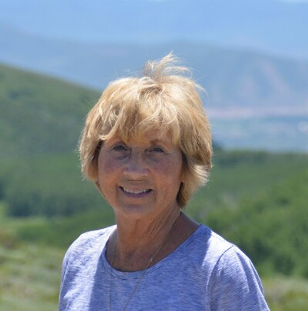 Jo Ann Surber
