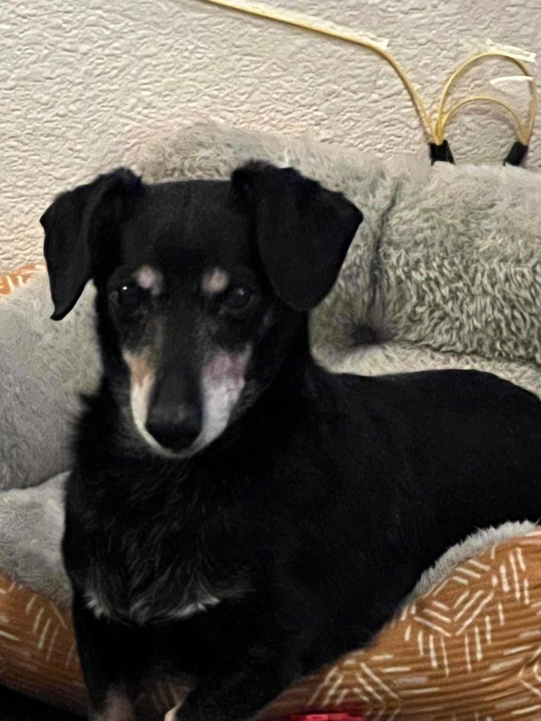 Peanut Butter Profile Photo